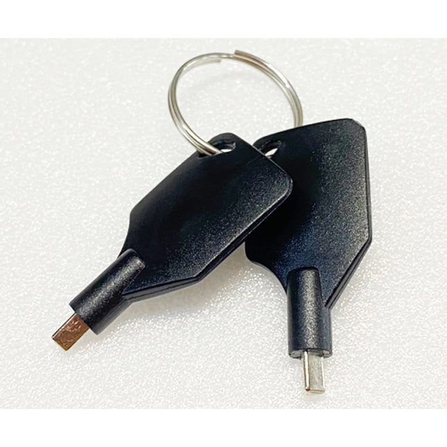 裸族シリーズHDDケースのドアロックキー（2個1セット）